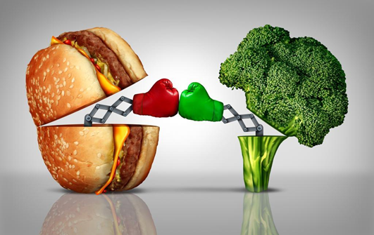 간단하게 즐기는 균형 잡힌 대체 식사